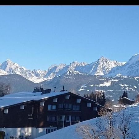 Studio Porte Du Mont Blanc Combloux Aux Pieds Des Pistes Exterior foto