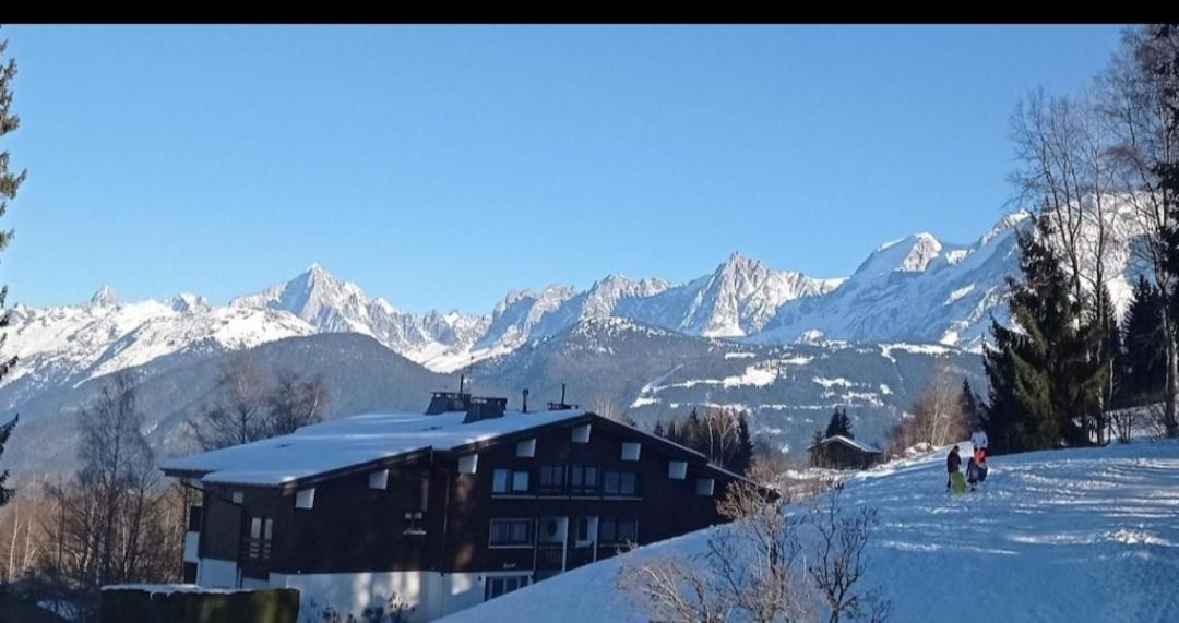 Studio Porte Du Mont Blanc Combloux Aux Pieds Des Pistes Exterior foto
